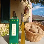 Appartement Il Salice Carignano (Tuscany)
