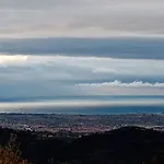 Il Salice Carignano (Tuscany)