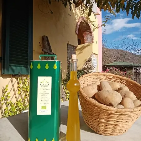 Apartment Il Salice Carignano (Tuscany)