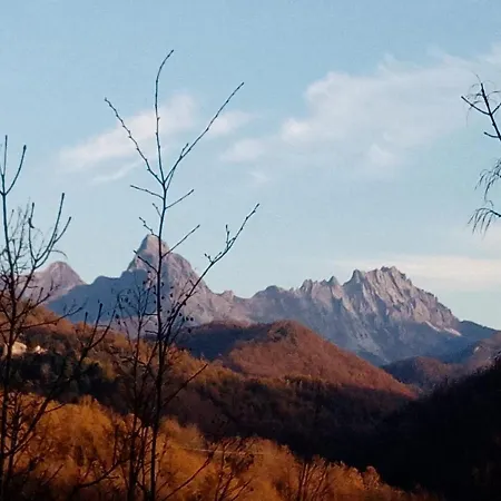 Il Salice