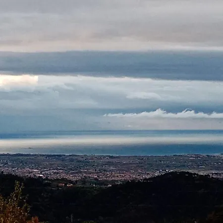 Il Salice Carignano (Tuscany)