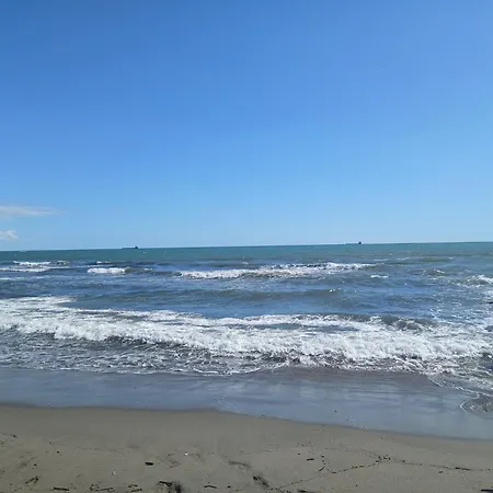Apartment Il Salice Carignano (Tuscany)